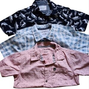 Calvin Klein Kids' Pink, Blue, and Black Shirts Set